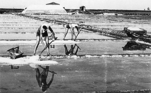 alberghi cervia vicino saline.jpg