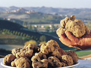 tartufo_bianco