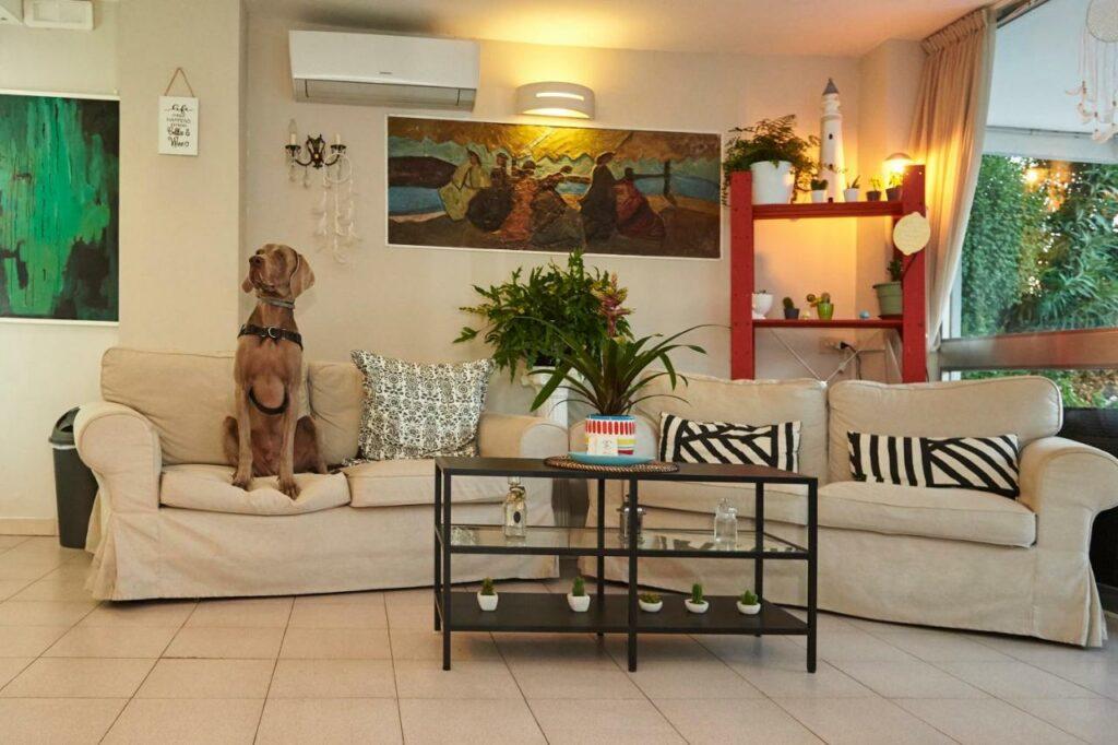 hotel-a-casa-nostra-miramare-rimini-3