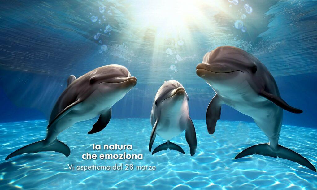_data_banner_img_825_npiotm_jpg_cr_2200_1320