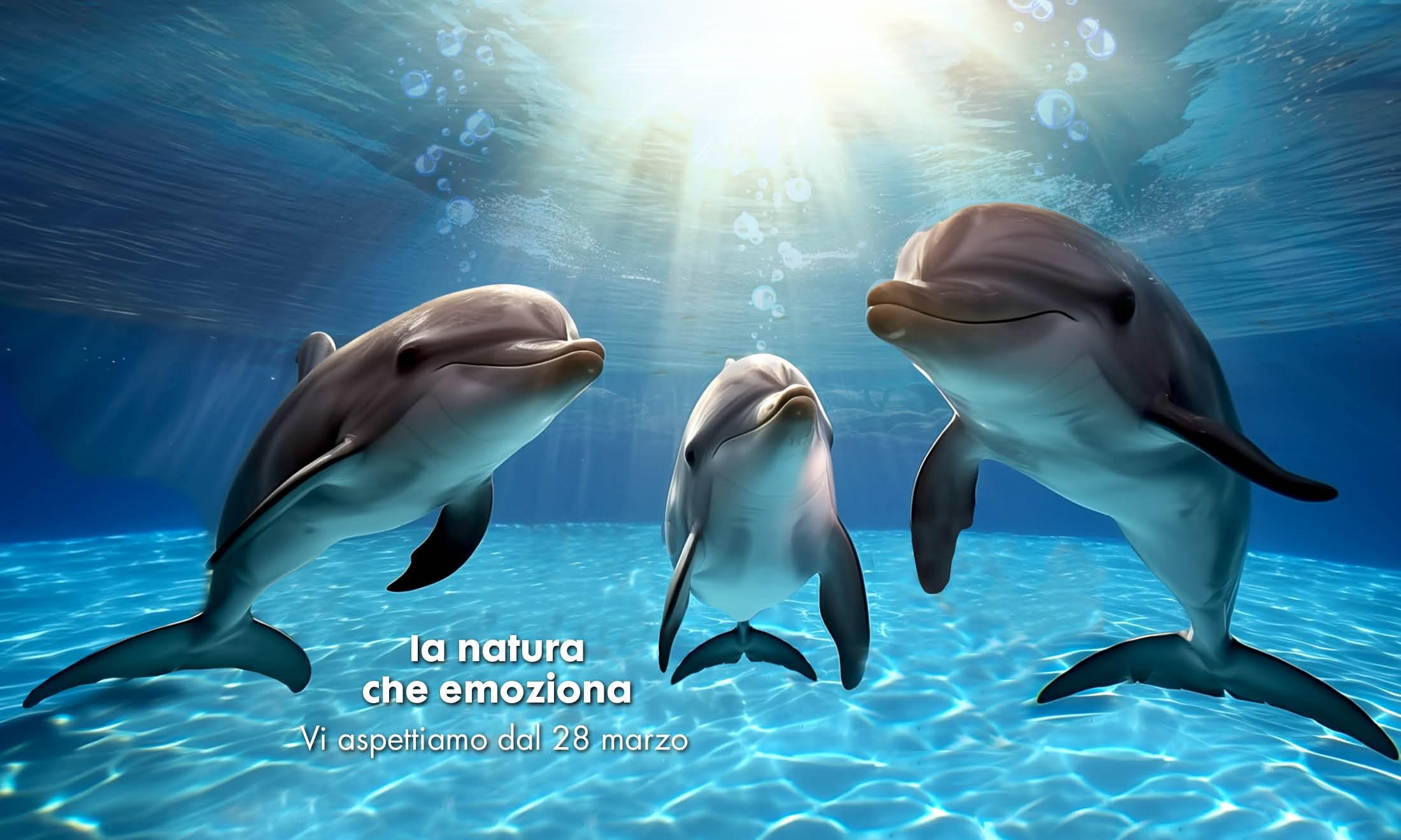 _data_banner_img_825_npiotm_jpg_cr_2200_1320