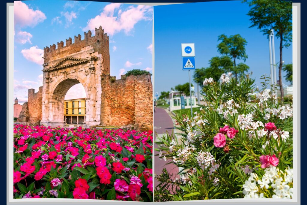 Cosa è meglio: Rimini o Riccione?