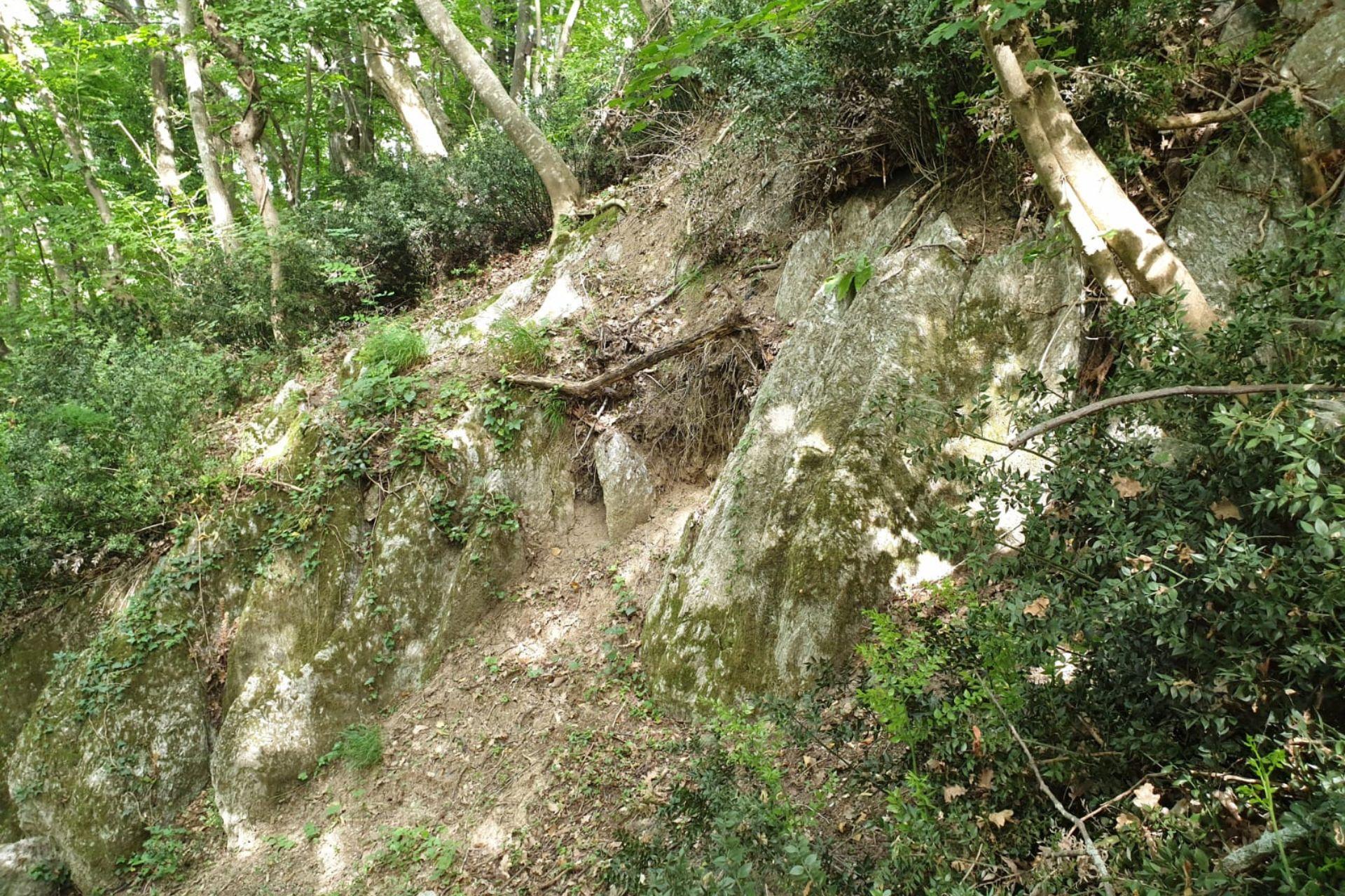 Riserva Naturale Orientata di Onferno