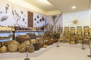 Ecomuseo delle Erbe Palustri di Villanova di Bagnacavallo: un viaggio nel cuore verde della Romagna