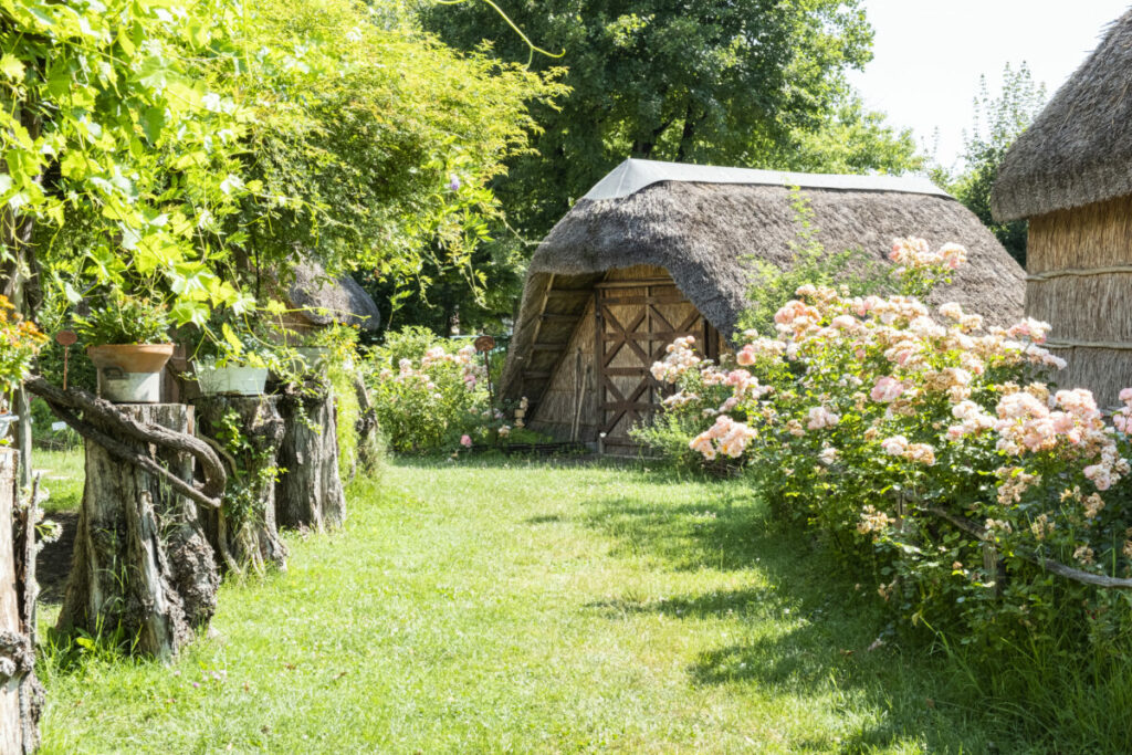 Ecomuseo delle Erbe Palustri di Villanova di Bagnacavallo: un viaggio nel cuore verde della Romagna