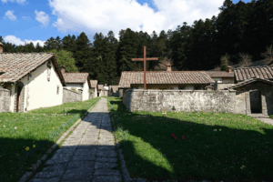 Da Rimini a Camaldoli: una gita tra natura, silenzio e spiritualità