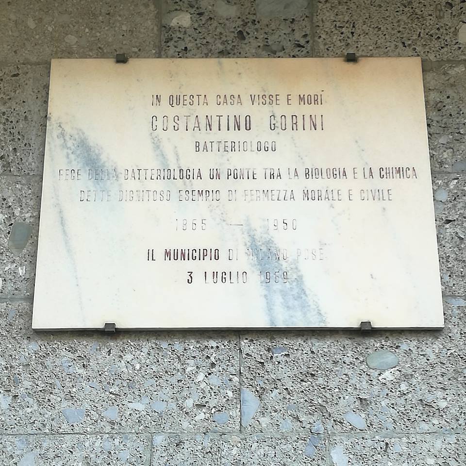 Costantino Gorini: il gigante della microbiologia dalle radici riminesi