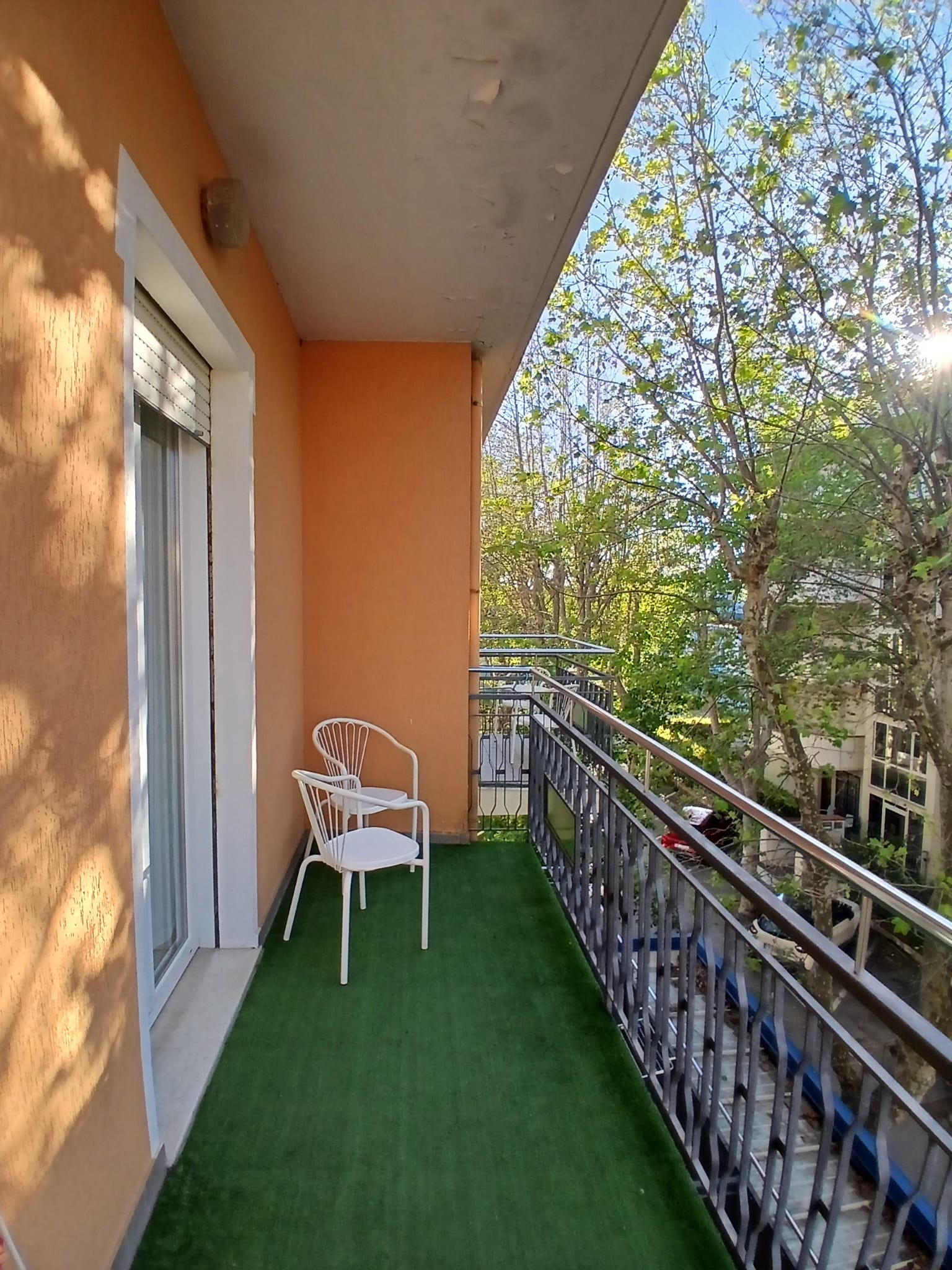 Galleria Immagini